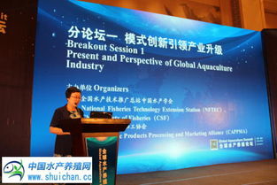 引領(lǐng)未來水產(chǎn)養(yǎng)殖 七大創(chuàng)新模式與技術(shù)推廣新路徑